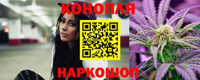 мяу мяу мука Будённовск