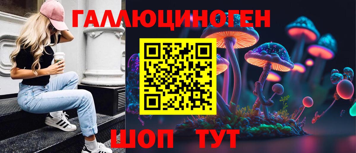 Псилоцибиновые грибы мицелий Междуреченск