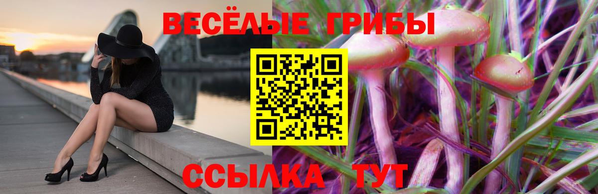 Междуреченск  Псилоцибиновые грибы Psilocybe  где можно купить   Вход с VPN 